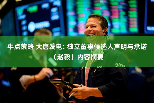 牛点策略 大唐发电: 独立董事候选人声明与承诺（赵毅）内容摘要